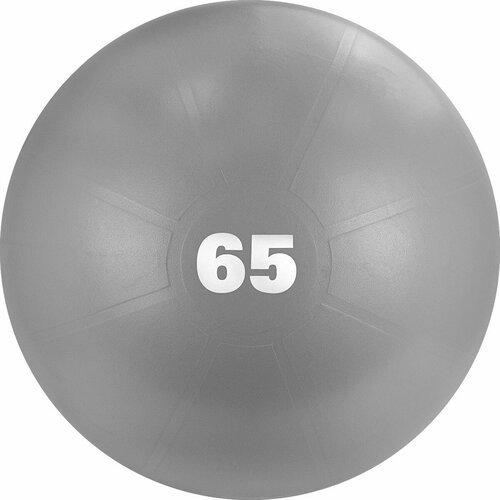 Мяч гимнастический TORRES AL122165GR 65 см, с защитой от взрыва, с насосом