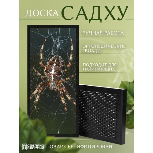 Доска Садху с гвоздями для Йоги с УФ печатью животные насекомые паук - 3115 шаг 10мм