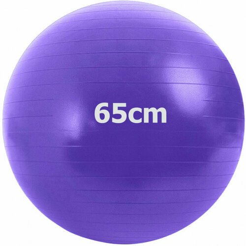 Мяч гимнастический Anti-Burst 65 см (фиолетовый) GMA-65-D