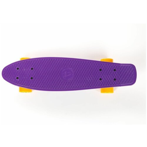 Пенни Борд Fish Skateboards 22' Фиолетовый