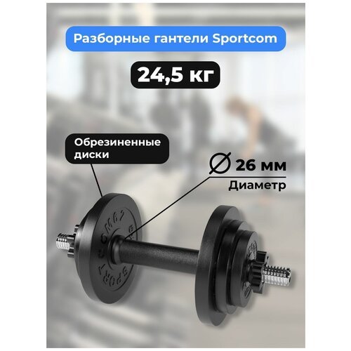 Гантель разборная BARFITS Sportcom D26 24,5 кг
