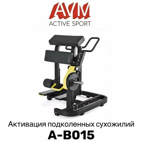 Профессиональный тренажер для зала Aктивация подколенных сухожилий AVM A-B015