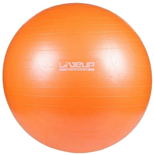 LIVEUP LS3222-65 оранжевый 65 см 1.1 кг