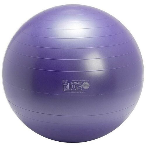 Мяч Gymnic Plus 65 см. с BRQ (фиолетовый) ОРТО 95.26