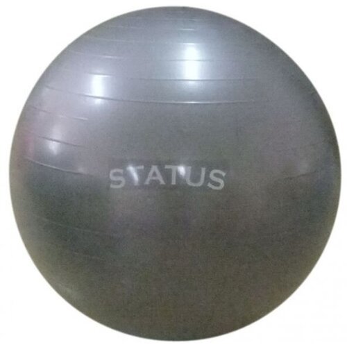 Status Гимнастический мяч с насосом FKA-22 (55 см)
