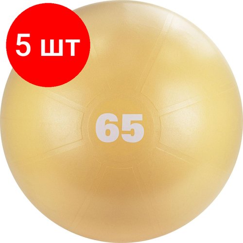 Комплект 5 штук, Мяч гимнастический TORRES, диаметр 65 см, S0000148336