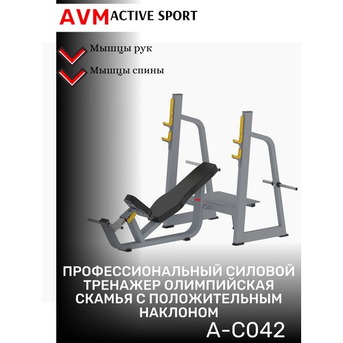 Профессиональный тренажер для зала Олимпийская скамья с положительным наклоном AVM A-C042
