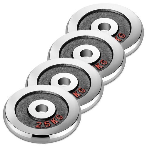 Набор хромированных дисков Voitto 2,5 кг (4 шт) - d26