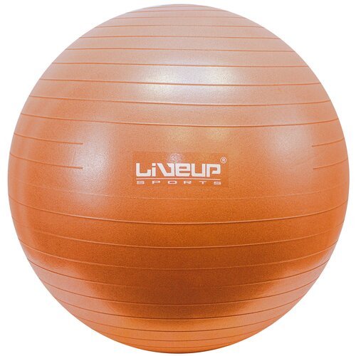 Мяч Live Up гимнастический антивзрыв LS3222+насос 65 см
