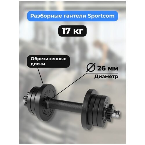Гантель разборная Sportcom D26 17 кг (вариант №1)
