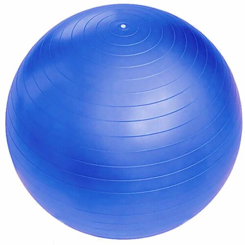 Мяч гимнастический Sportage 45 см