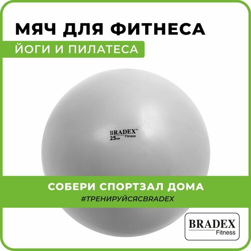 BRADEX SF 0236 серый 25 см 0.2 кг