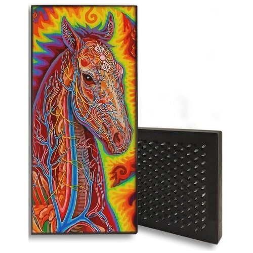 Доска Садху / Доска с гвоздями / Доска для Йоги / Животные красочная лошадь пони эзотерика - 1045 / шаг 10мм