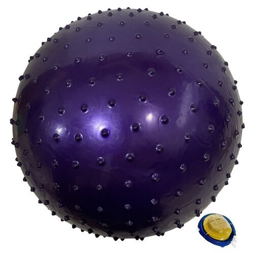 X-Match 649228 фиолетовый 65 см