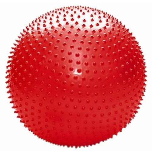 Мяч массажный 65 см LECO с насосом красный