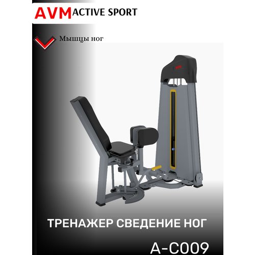 Профессиональный силовой тренажер для зала Сведение ног AVM A-C009