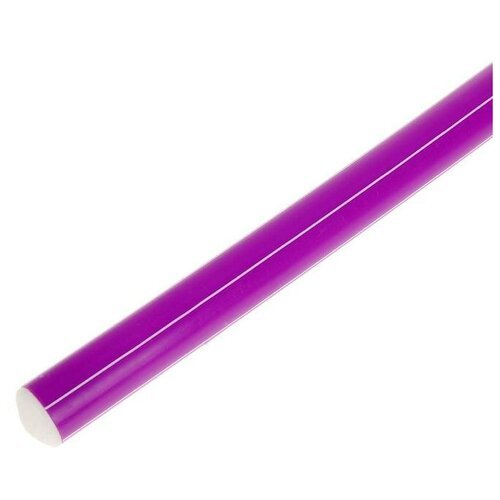 Палка гимнастическая Соломон, тренажер для детей, пластик, длина 80 см, цвет фиолетовый