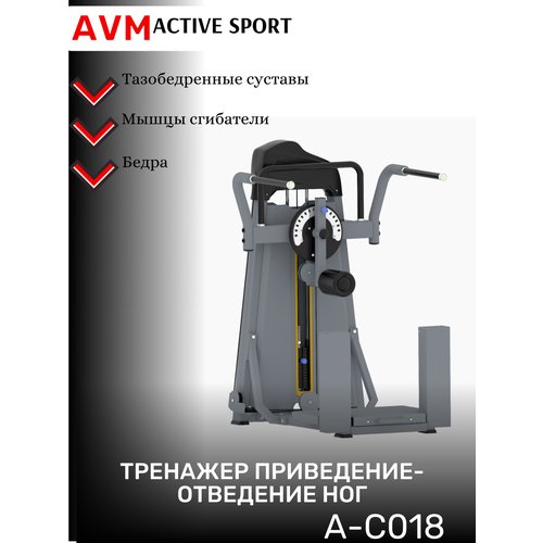 Профессиональный силовой тренажер для зала Приведение-Отведение ног AVM A-C018