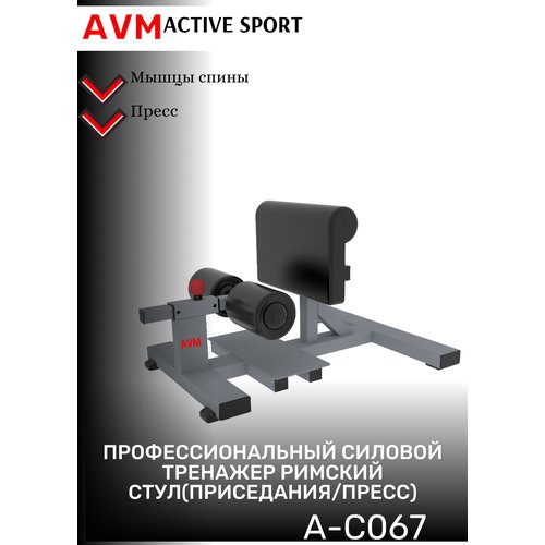 Профессиональный тренажер для зала Римский стул(Приседания/Пресс) AVM A-C067