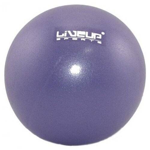 LIVEUP LS3225 фиолетовый 20 см 0.15 кг