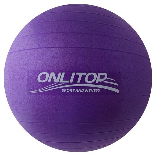 ONLITOP 3543996, 65 см фиолетовый 65 см 0.9 кг