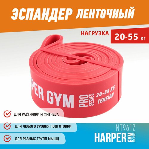 Резинка для фитнеса Harper Gym NT961Z (55) 208 х 4.5 см 55 кг красный