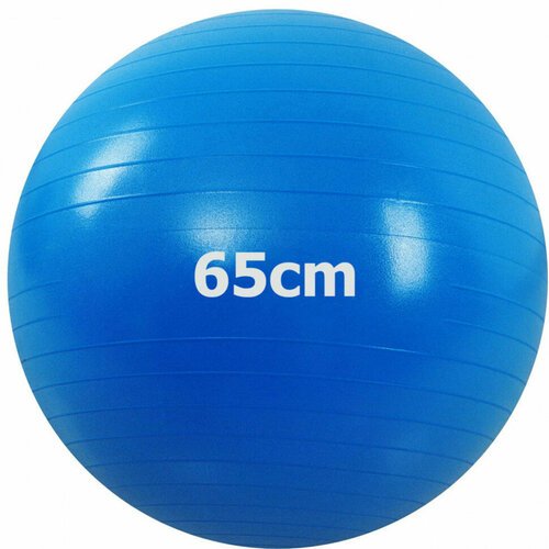 Мяч гимнастический Anti-Burst 65 см (синий) GMA-65-B