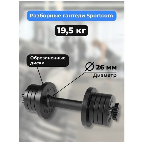Гантель разборная BARFITS Sportcom D26 19,5 кг (вариант №1)