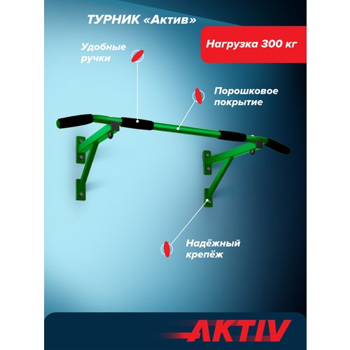 Турник настенный Aktiv зеленый разборный Aktiv/Absolute Champion