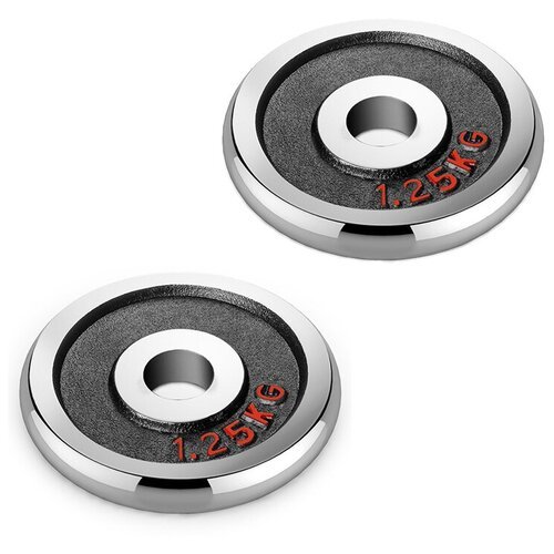 Набор хромированных дисков Voitto 1,25 кг (2 шт) - d26