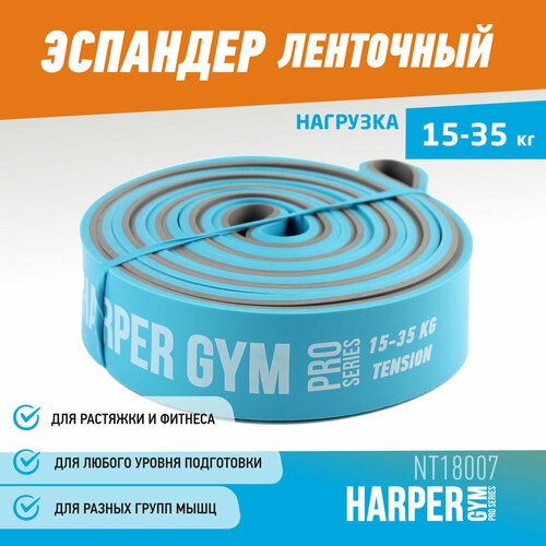 Эспандер для фитнеса замкнутый Harper Gym Pro Series NT18007 208х3,2х0,45 см (нагрузка 15-35 кг)