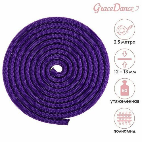 Скакалка для художественной гимнастики утяжелённая Grace Dance, 2,5 м, цвет фиолетовый (комплект из 4 шт)
