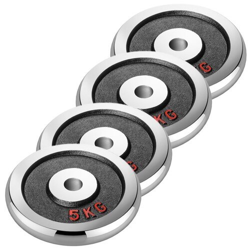 Набор хромированных дисков Voitto 5 кг (4 шт) - d26