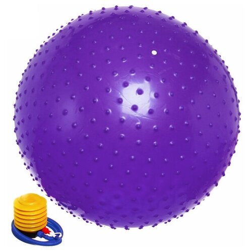 Мяч для фитнеса Sportage 75 см массажный с насосом 1000гр, фиолетовый