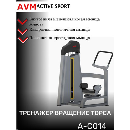 Профессиональный силовой тренажер для зала Вращение торса AVM A-C014