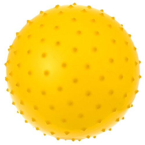 Мяч массажный, d=25 см, 50 г, цвета микс