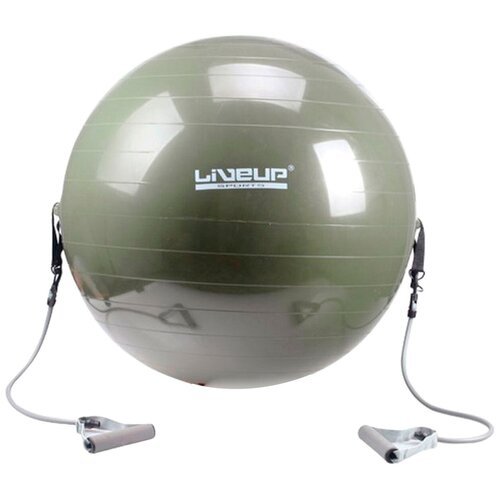 Фитбол и эспандер LiveUp GYM BALL WITH EXPANDER Унисекс LS3227 65см