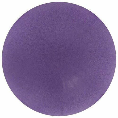 Мяч для йоги Sangh, d=25 см, 100 г, цвет фиолетовый, уценка