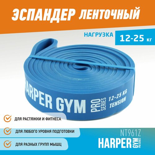 Резинка для фитнеса Harper Gym NT961Z (25) 208 х 2.9 см 25 кг голубой