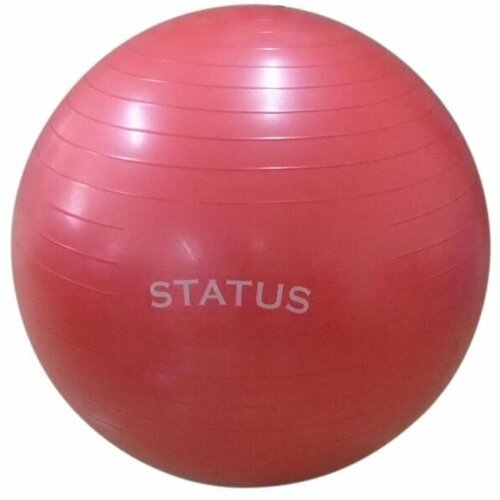 Status Гимнастический мяч с насосом FKA-26 (65 см)