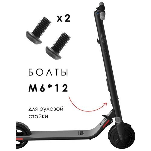 Комплект болтов/винтов M6*12 для электросамоката Segway-Ninebot KickScooter ES1 / ES2 / ES4 (2 шт.)