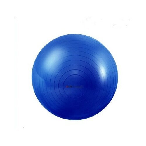 ARmedical Реабилитационный мяч ABS-65 ABS, Цвет Синий