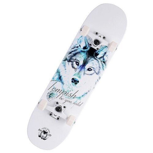 Скейтборд Tempish Blue Wolf, 31x8, белый