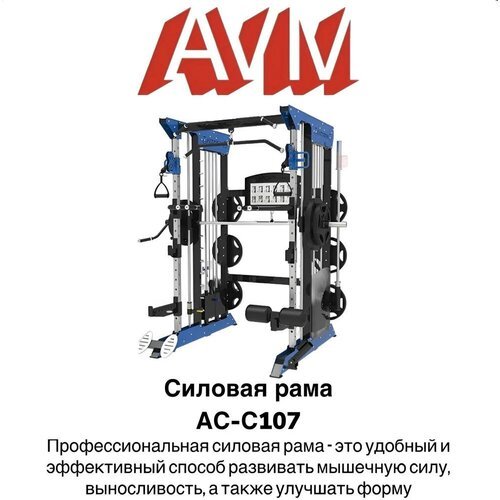 Профессиональный тренажер для зала Силовая рама AVM АС-С107