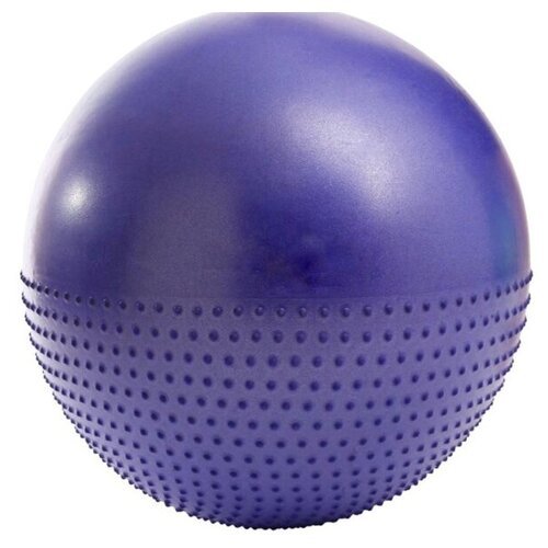 Мяч гимнастический Sportage полумассажный 75 см 1000гр (с насосом), Фиолетовый