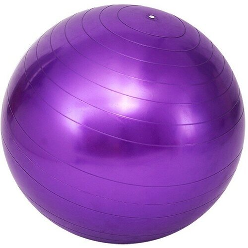 Мяч КНР для фитнеса, фиолетовый, 65 см, в пакете (141-21-60)