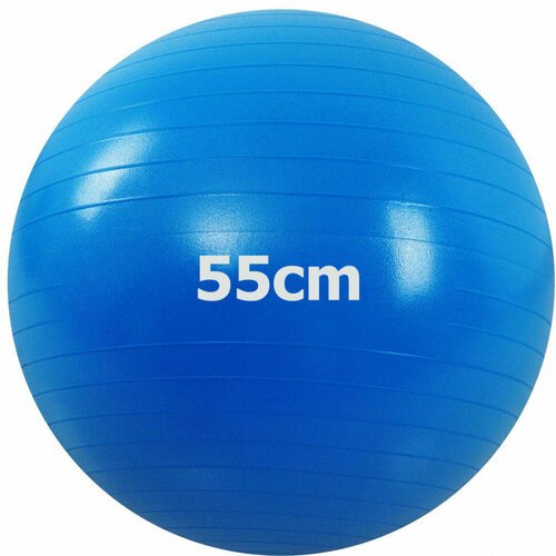 Мяч гимнастический Anti-Burst 55 см (синий) GMA-55-B