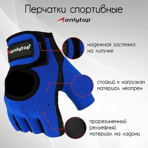 Перчатки спортивные ONLYTOP, р. XL, цвет синий/чёрный
