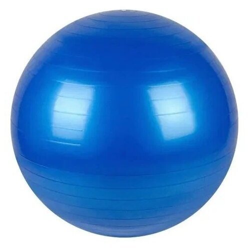 Гимнастический мяч Leco 75 см с насосом Синий