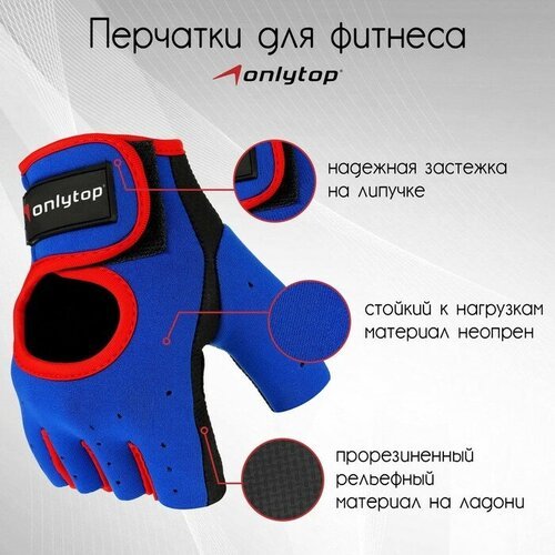 ONLYTOP Перчатки спортивные, размер XL, цвет синий/красный